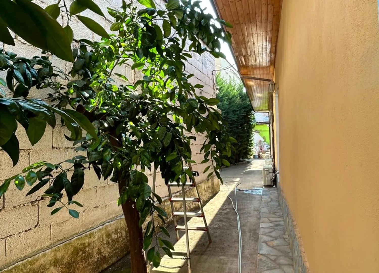D1 Hostel Tirana Albanië